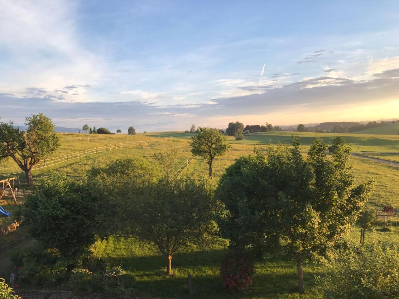 Allgaeu Meadow Ranch Hergatz 外观 照片